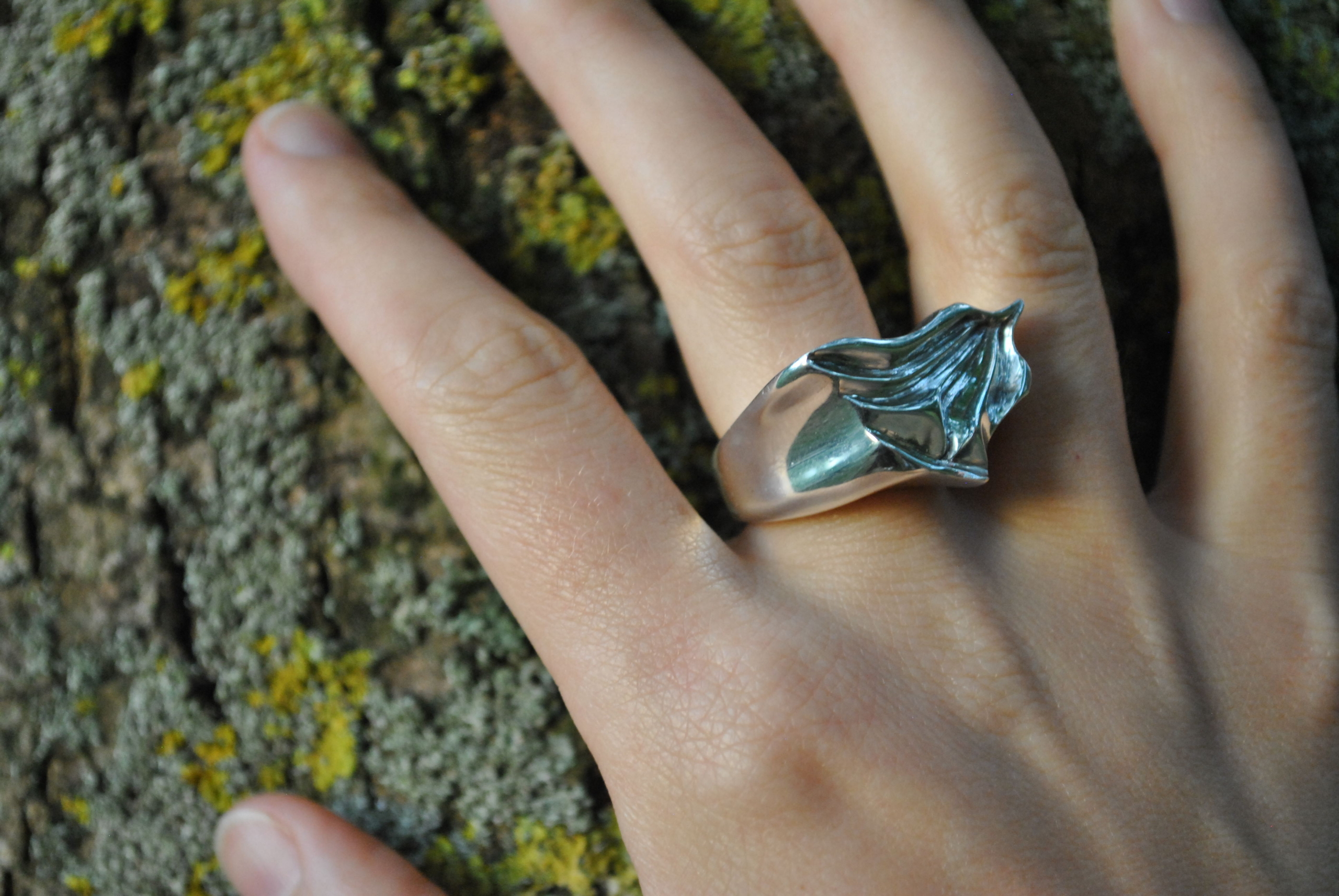 glacier ring